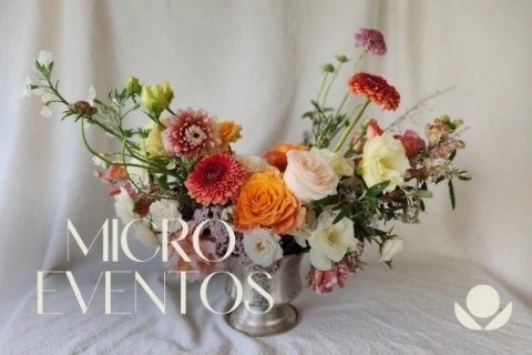 MICRO EVENTOS